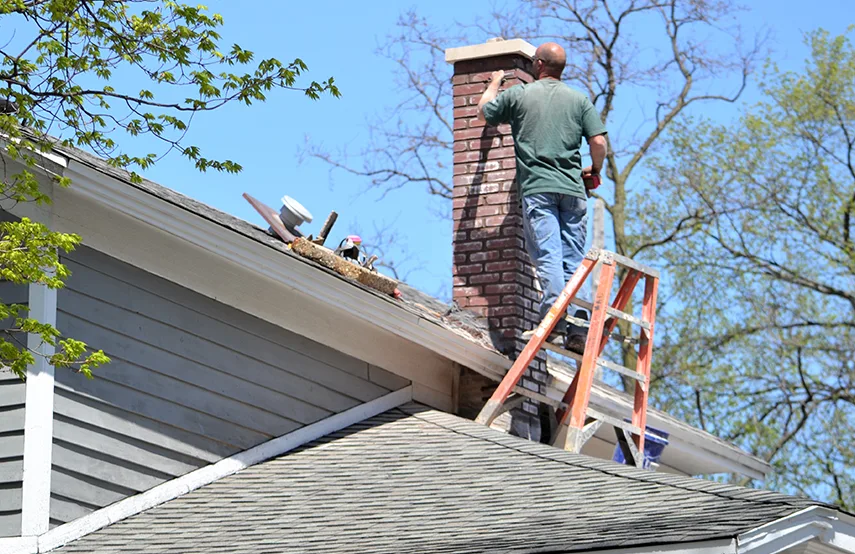 Chimney & Fireplace Inspections Services in Blaine, MN